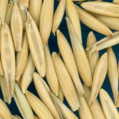 column KERNELS