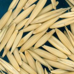 column KERNELS