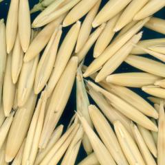 column KERNELS