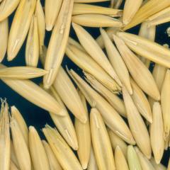 column KERNELS