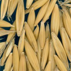 column KERNELS