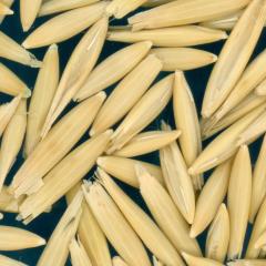 column Kernels