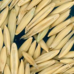 column KERNELS