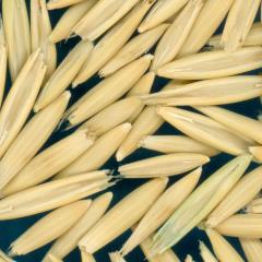 column Kernels