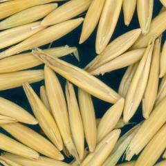 column KERNELS