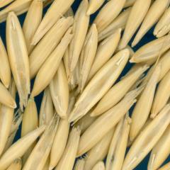 column KERNELS