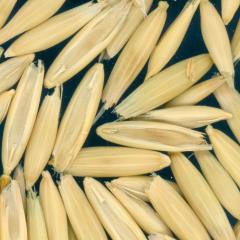 column Kernels