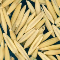 column Kernels