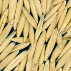 column Kernels