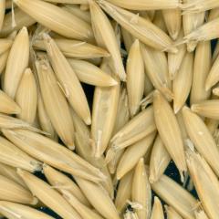 column KERNELS