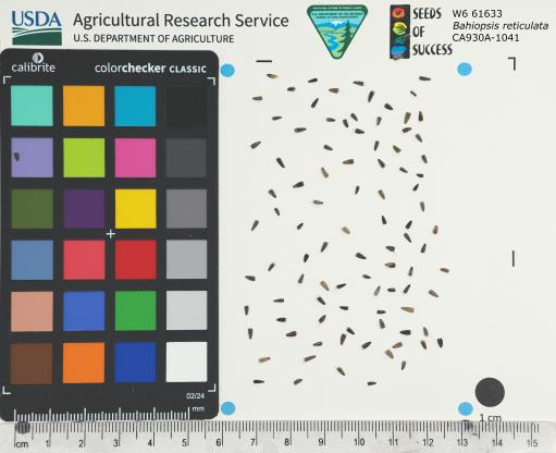 Click for 1 image(s) for this accession. SEED
