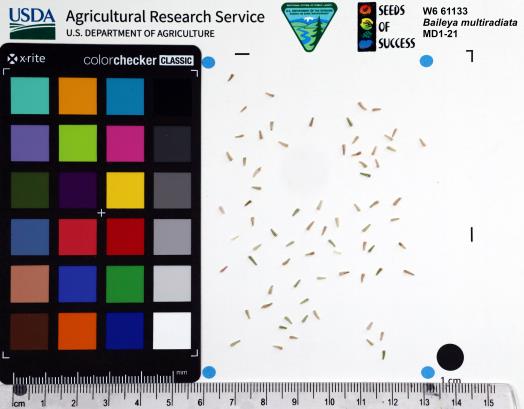 Click for 1 image(s) for this accession. SEED
