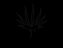 column LEAF