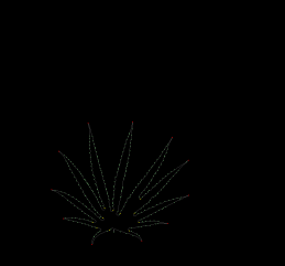 column LEAF