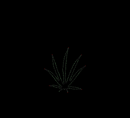 column LEAF