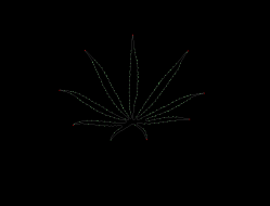 column LEAF
