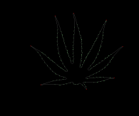 column LEAF