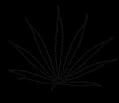 column LEAF