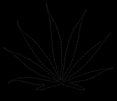 column LEAF
