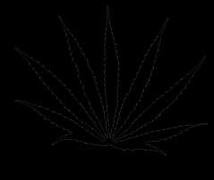 column LEAF