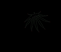 column LEAF