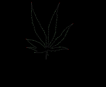 column LEAF