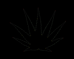 column LEAF