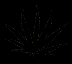 column LEAF