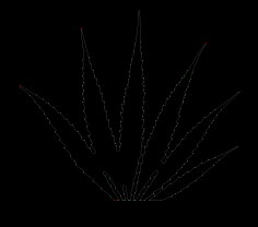 column LEAF