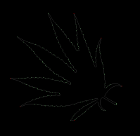 column LEAF
