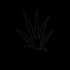 column LEAF