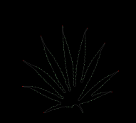 column LEAF