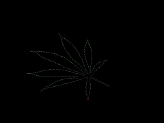 column LEAF