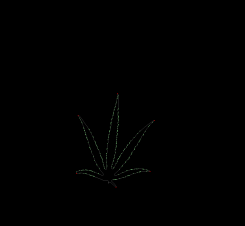 column LEAF