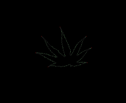 column LEAF