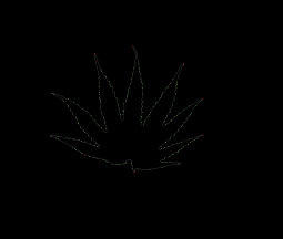 column LEAF