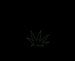column LEAF