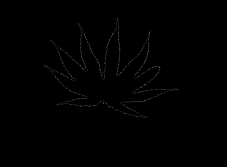 column LEAF