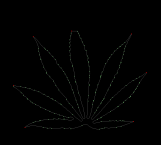 column LEAF