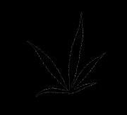 column LEAF