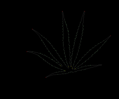 column LEAF