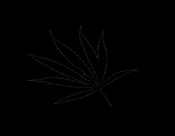 column LEAF