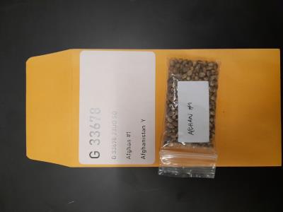 column SEED