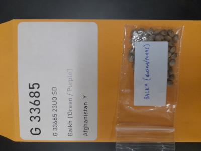 column SEED