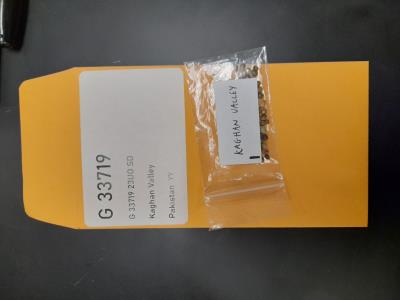 column SEED