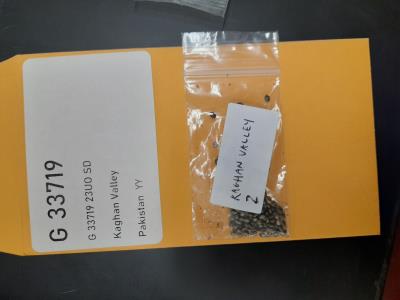 column SEED