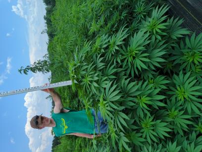 column PLANT
