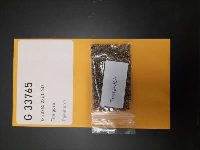 column SEED