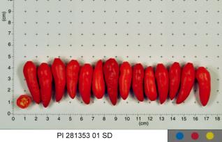 column FRUIT