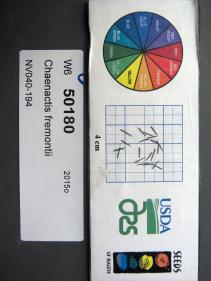 Click for 1 image(s) for this accession. SEED